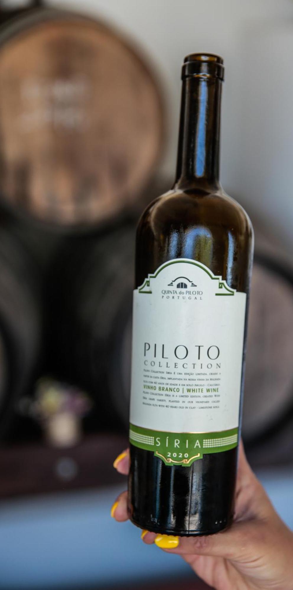 منزل الضيف بالميلا  في Quinta Do Piloto المظهر الخارجي الصورة